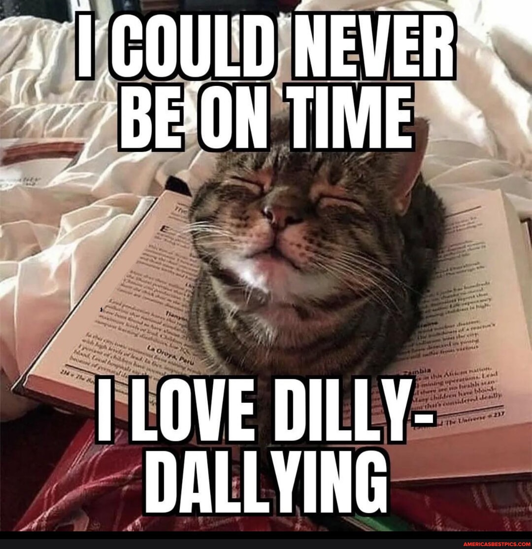 Lollygag or Dilly Dally? #lollygagging #dillydallying #memes #memestik