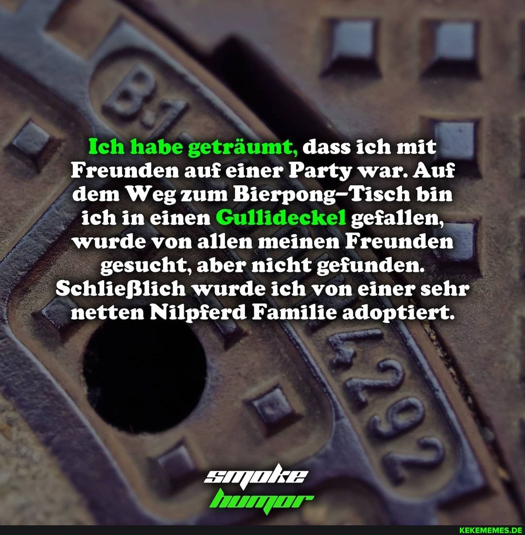 Ich habe geträumt, dass ich mit
Freunden auf einer Party war. Auf dem Weg zum Bierpong-Tisch bin
ich in einen Gullideckel gefallen, wurde von allen meinen Freunden gesucht, aber nicht gefunden.
Schließlich wurde ich von einer sehr netten Nilpferd Familie adoptiert.