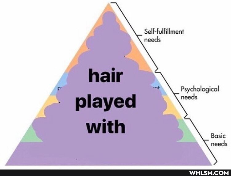 hair
played
with
Self-fulfillment
needs
Psychological
needs