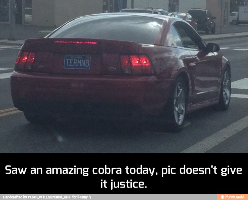 Saw an amazing cobra today, pic doesn't give
it justice. - Saw an amazing cobra today, pic doesn't give it justice.