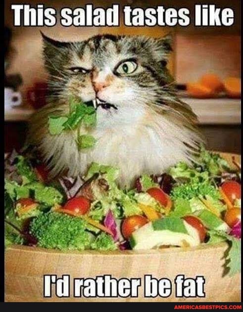 This Salad tastes like
ri fatier ie fat