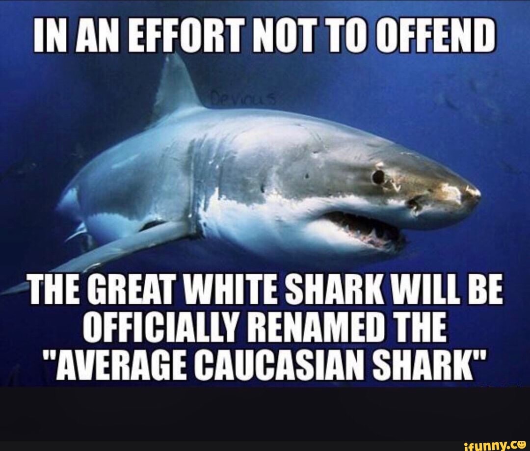 IN AN EFFORT NOT TO OFFEND THE GREAT WHITE SHARK WILL BE OFFICIALLY ...