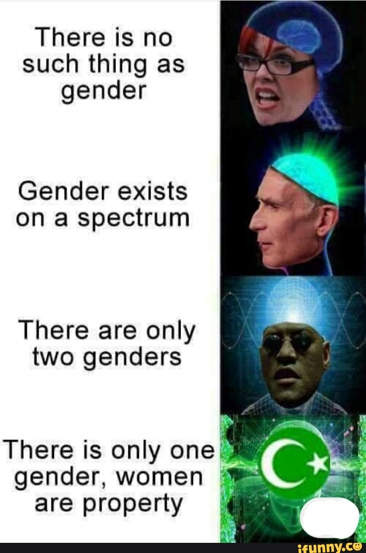 There is no such thing as gender Gender exists on a spectrum There are