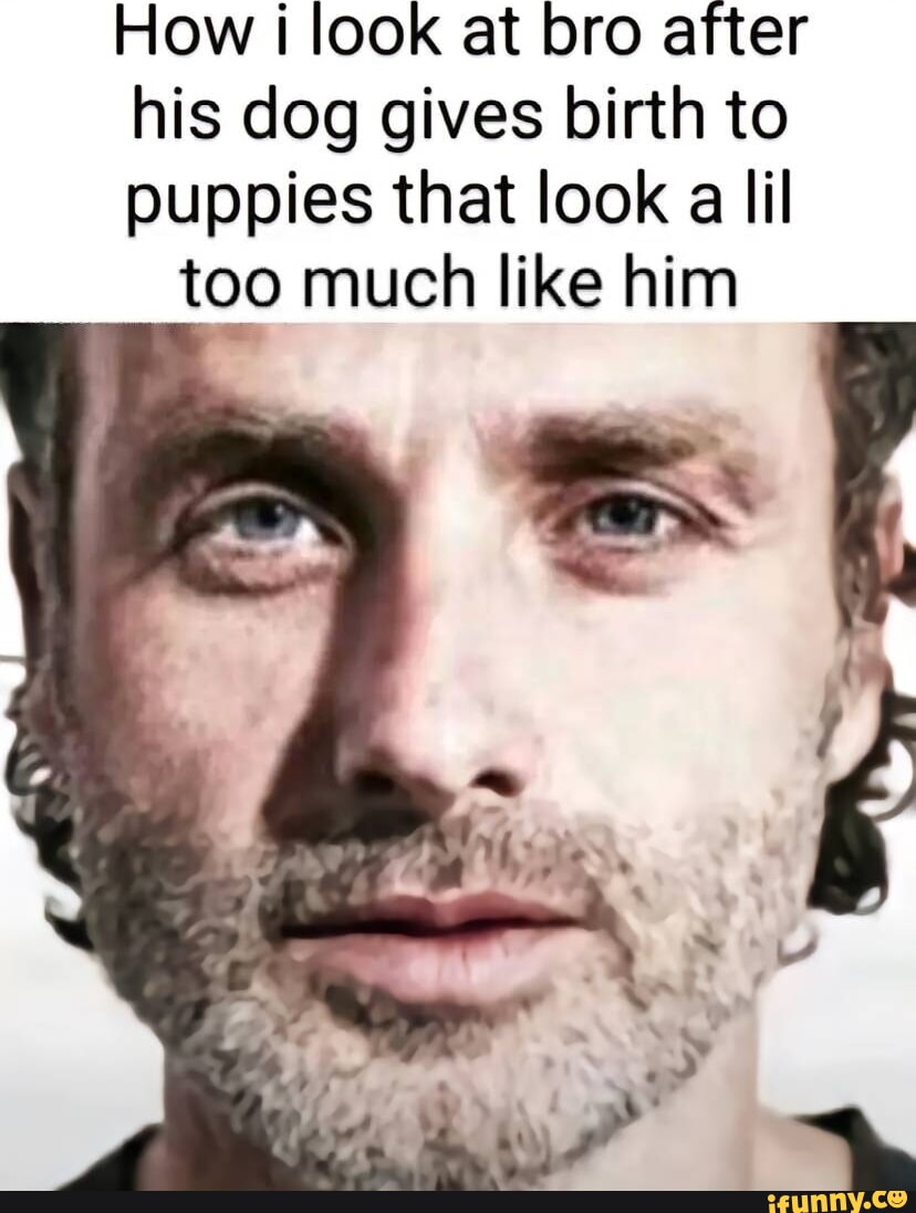 How I look at bro after his dog gives birth to puppies that look a lil too much like him iFunny