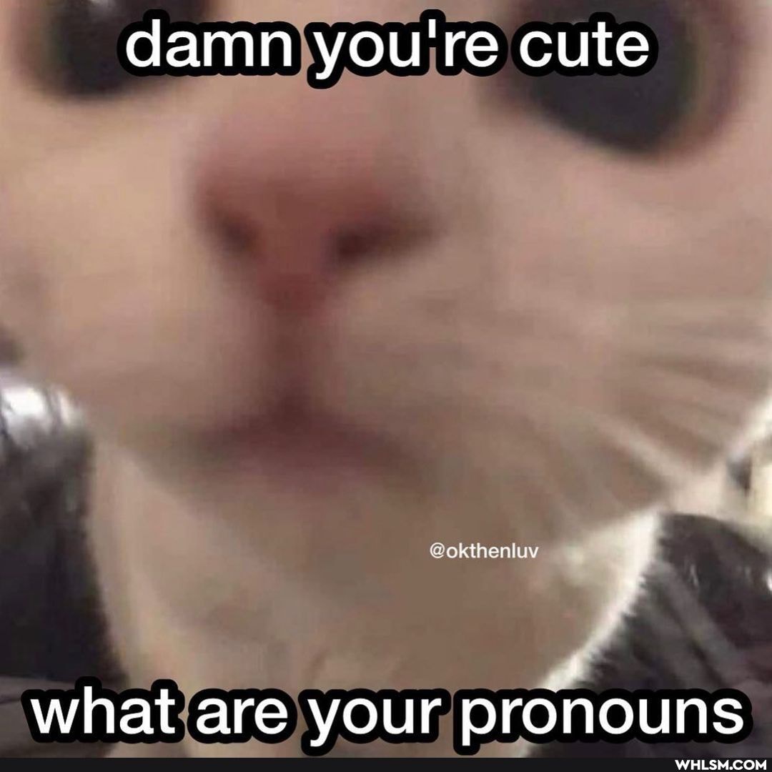 damn you're cute
okthentuy
what are your pronouns