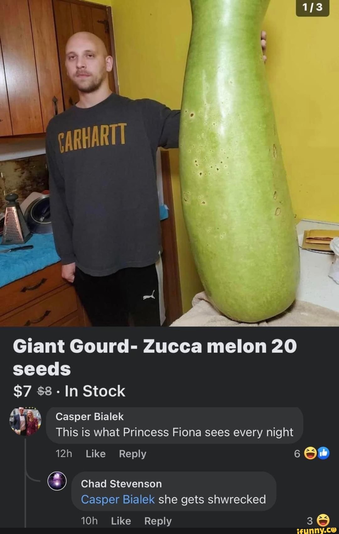 Giant Gourd- Zucca melon 20 seeds $7 $8 - In Stock Casper Bialek wi