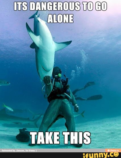 ITS DANGEROUS TO
ALONE
_TAKE THIS
