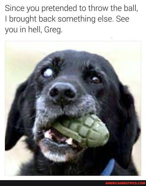 Since you pretended to throw the ball,
I brought back something else. See you in hell, Greg.