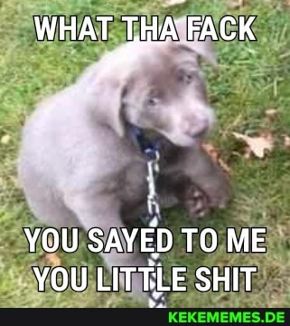 WHAT THA FACK
You SAVED TOME YOU LITTLE SHIT