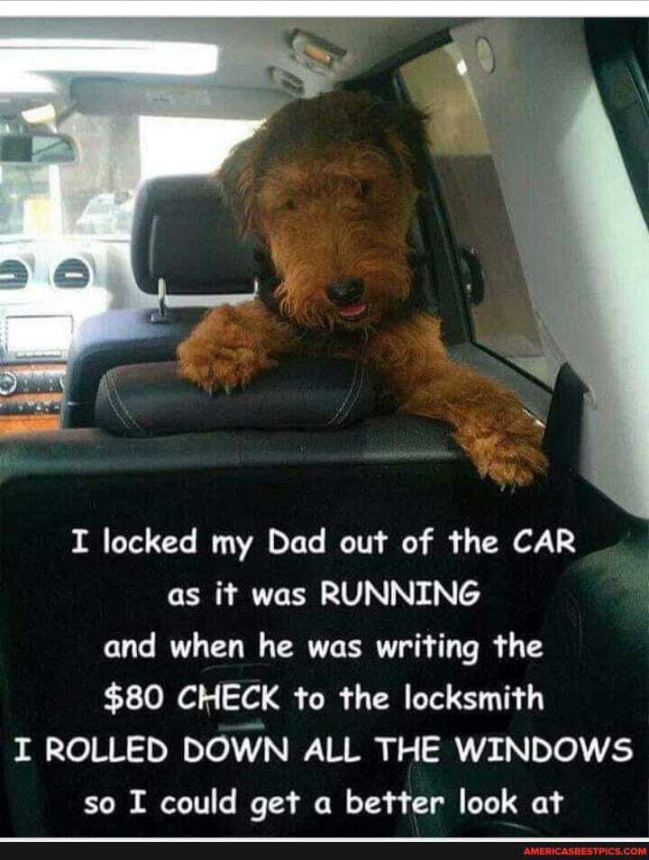 I locked my Dad out of the CAR as it was RUNNING and when he was writing the
$80 CHECK to the locksmith
I ROLLED DOWN ALL THE WINDOWS so I could get a better look at