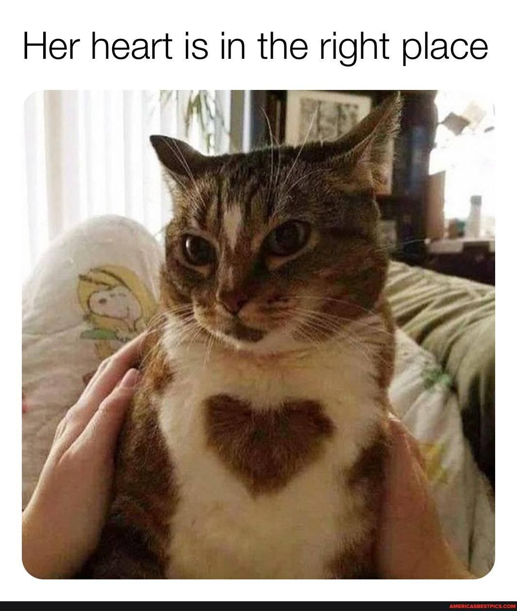 Her heart is in the right place