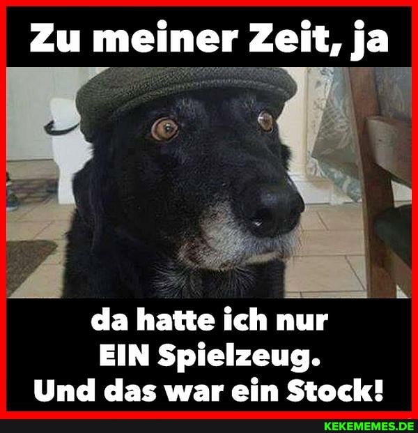 Zu meiner Zeit, ja
da hatte ich nur
EIN Spielzeug.
Und das war ein Stock!