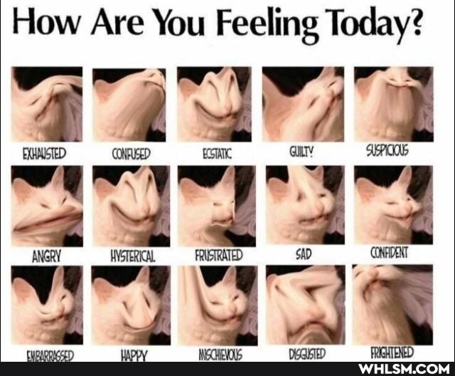 How Are You Feeling Today?