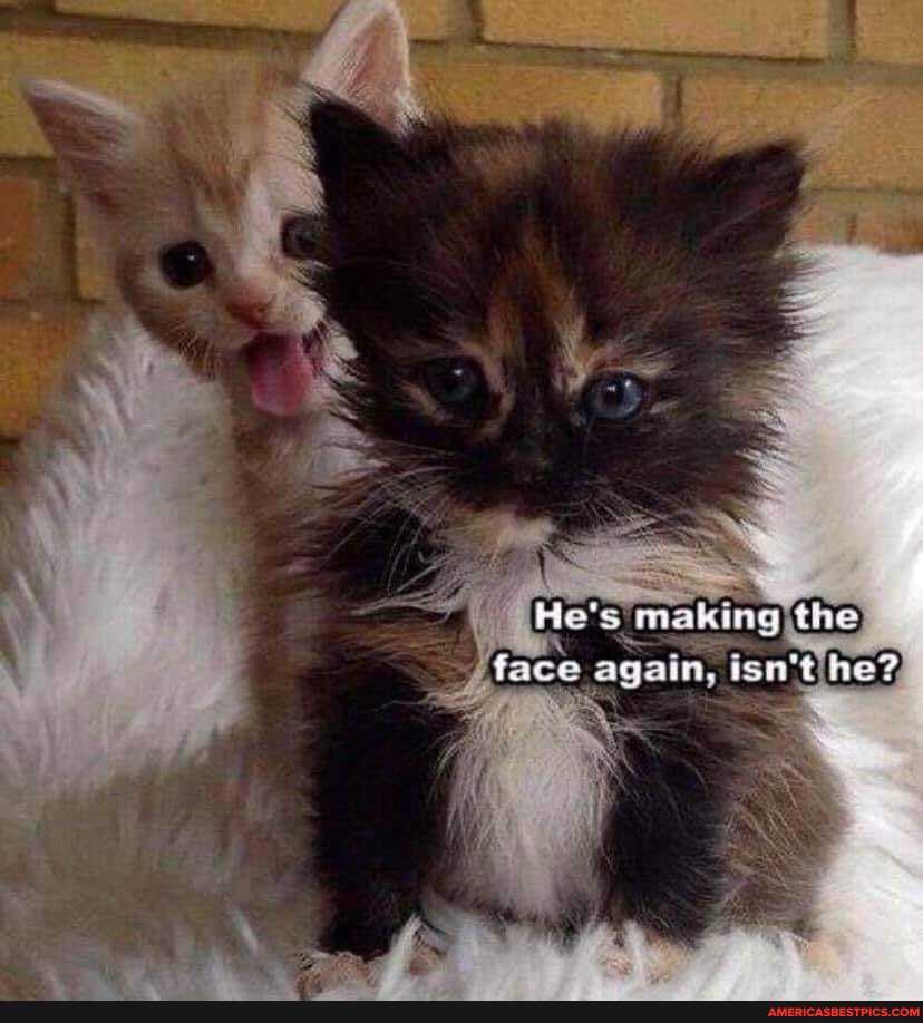 AN
Hovs miakine the
snt he?