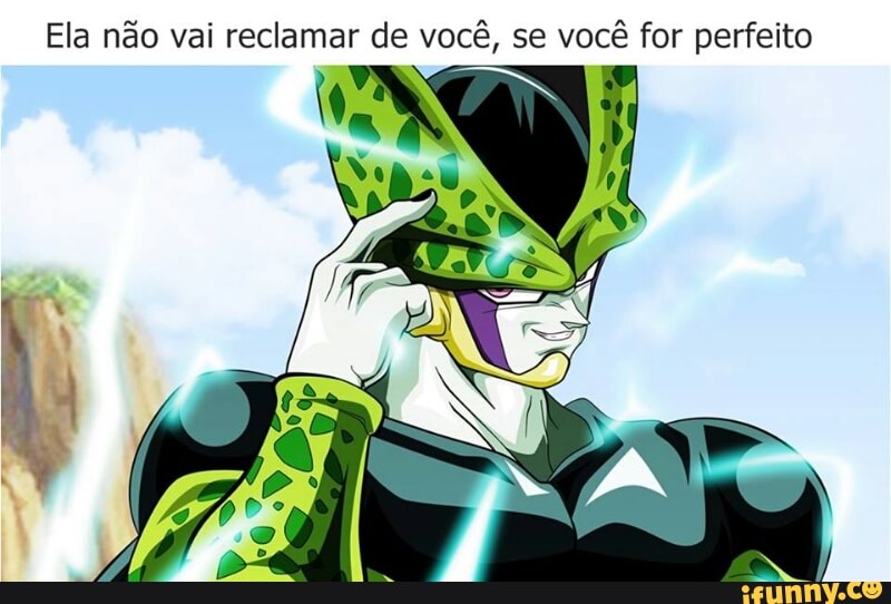 Ela não vai reclamar de você, se você for perfeito