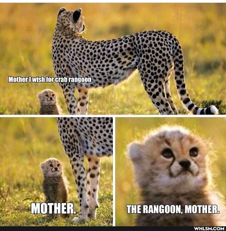 Moiter wish for crah rangoon
MOTHER. THE RANGOON, MOTHER: