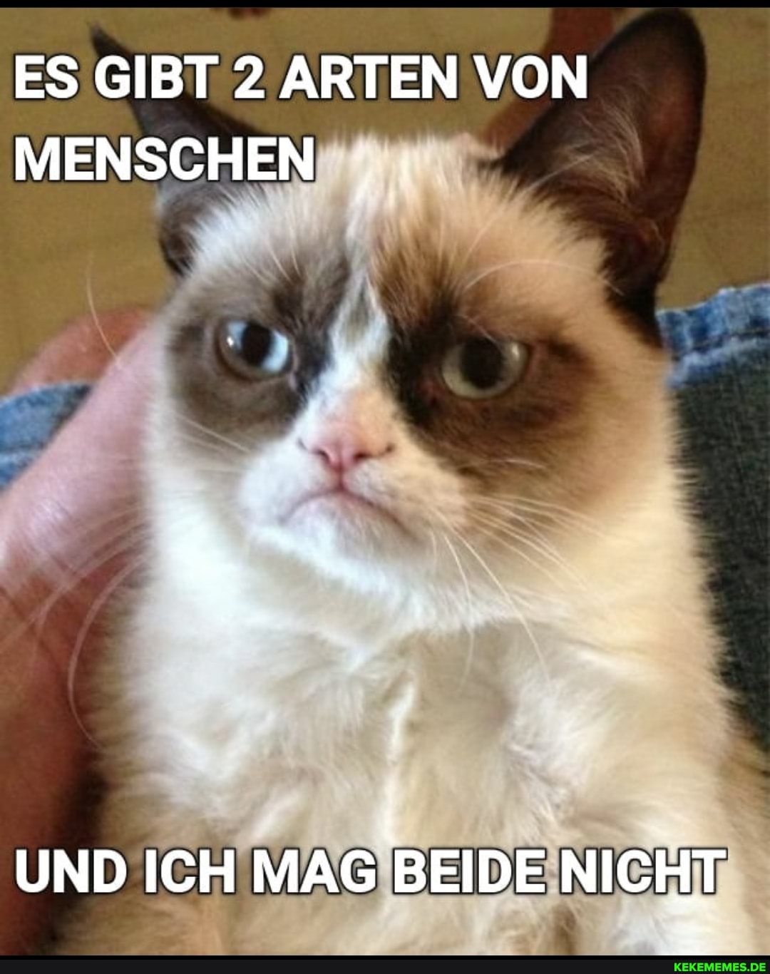 ES GIBT 2 ARTEN VON MENSCHEN
UND ICH MAG BEIDE NICHT