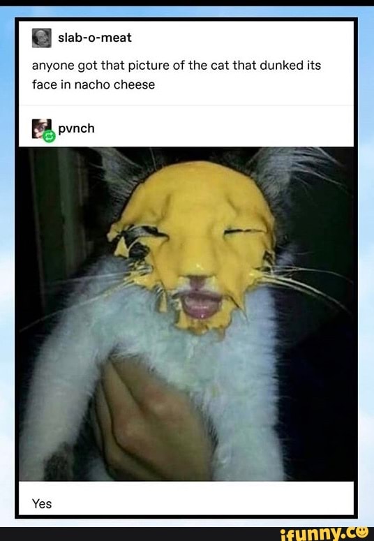 anyone got that picture of the cat that dunked its
face in nacho cheese