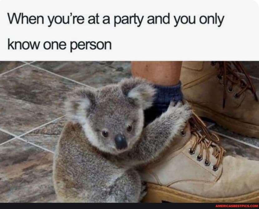 When you're at a party and you only know one person