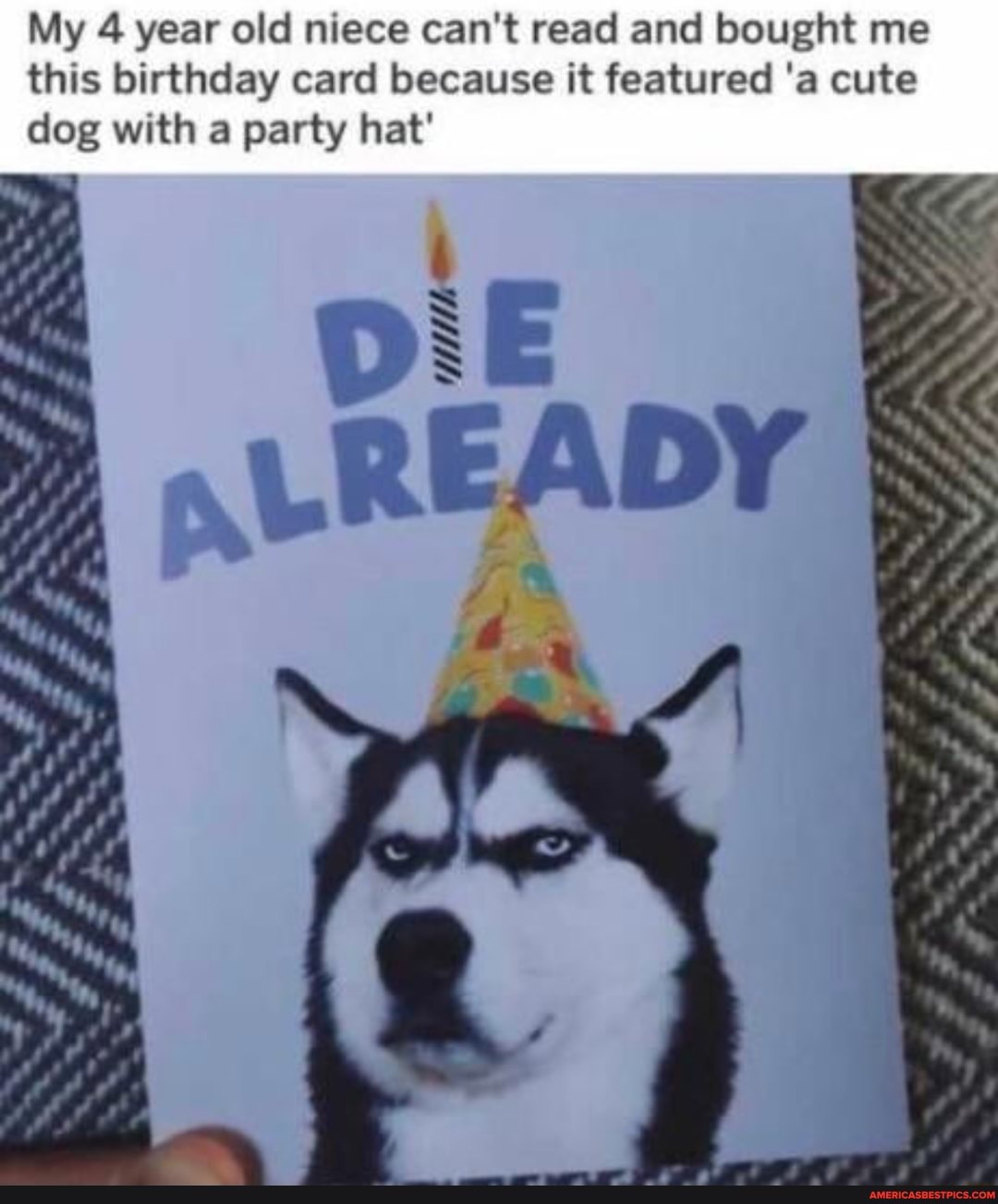 My 4 year old niece can't read and bought me
this birthday card because it featured 'a cute dog with a party hat'
MN