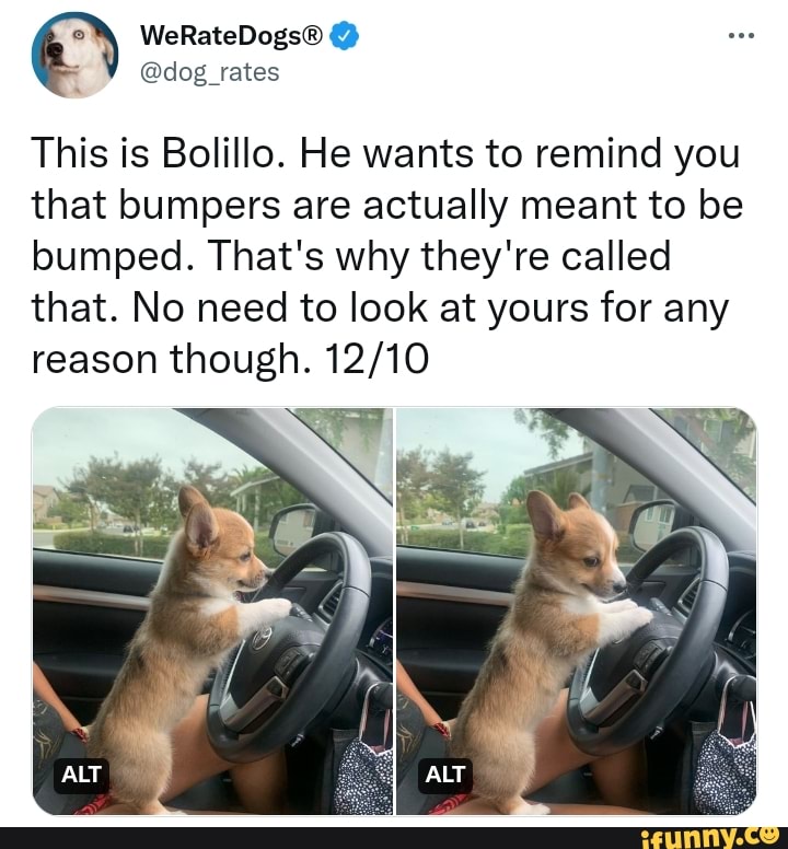 Bumpers memes. Best Collection of funny Bumpers pictures on iFunny Brazil