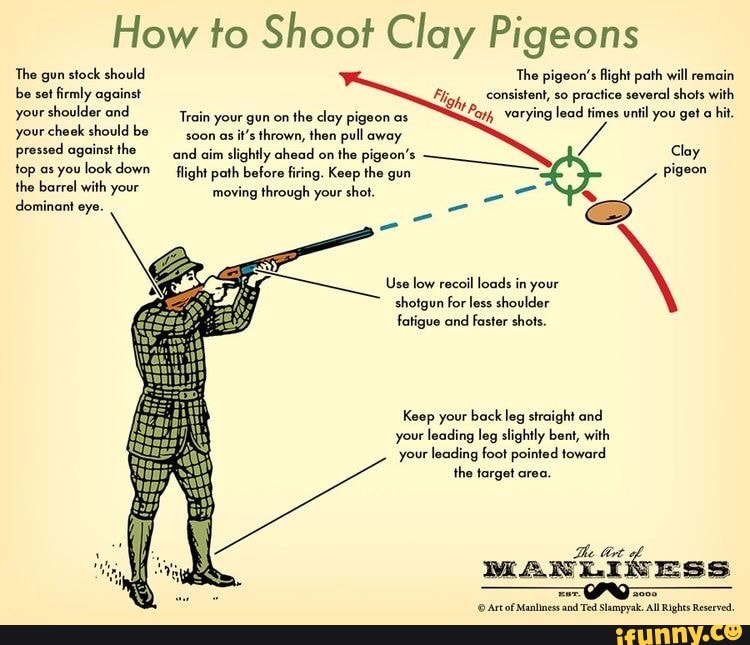 How to Shoot Clay Pigeons The gun stock should be set firmly against