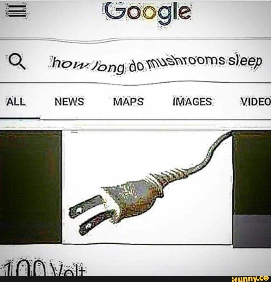 Google
sleep