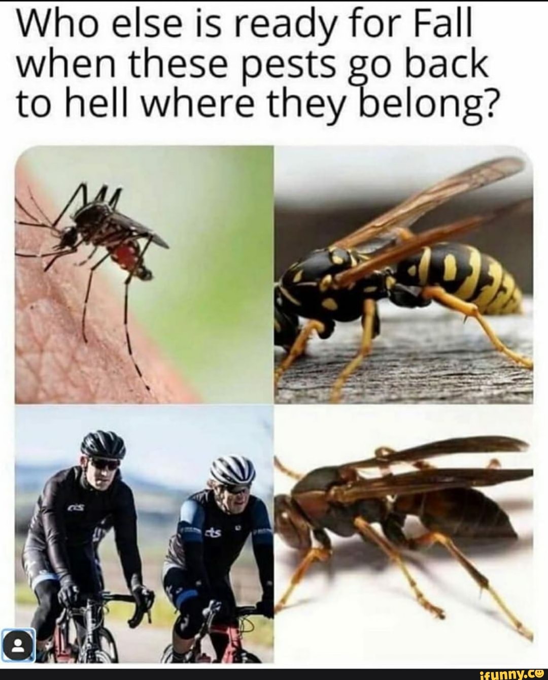 Who else is ready for Fall when these pests go back to hell where they belong?