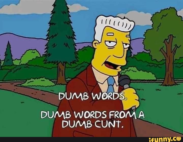 DUMB DUMB WORDS FROM A DUMB CUNT IFunny Brazil