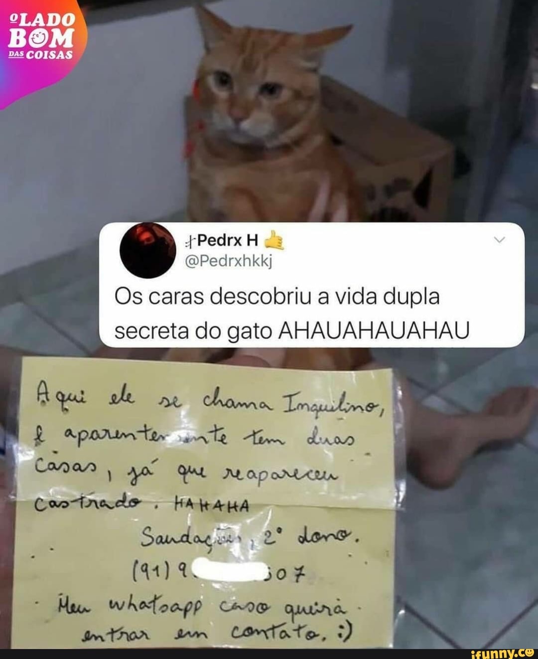 "LADO
COISAS
(DPedrxhkkj
Os caras descobriu a vida dupla secreta do gato AHAUAHAUAHAU
À qui ate Tnopulime,
Canas I Que apontem
Coo . HARAKA .
Sondoçio 2* doro.
(41) 2. 50%
Mu whetoagp quina -