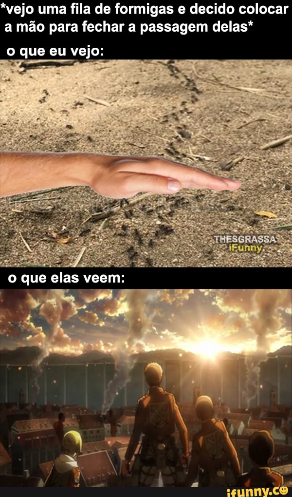 vejo uma fila de formigas e decido colocar a mão para fechar a passagem delas
que eu vejo:
que elas veem: