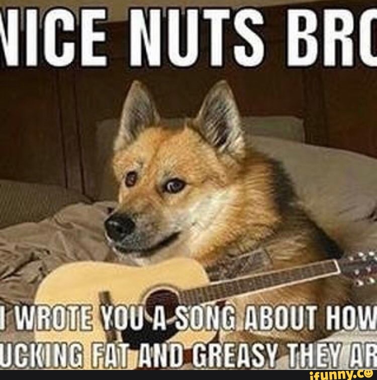 VICE NUTS BRE