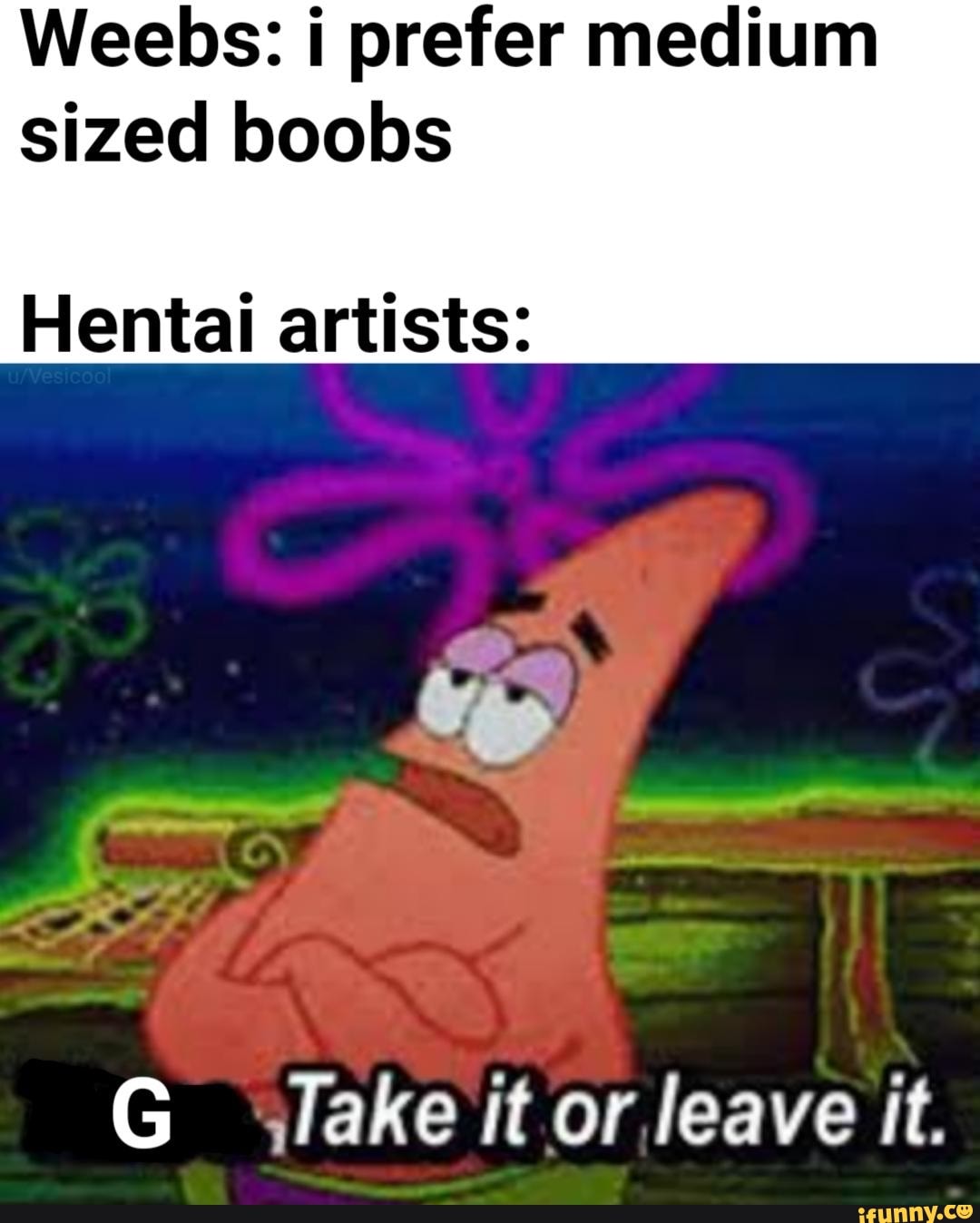 Weebs: i prefer medium sized boobs Hentai artists: - iFunny