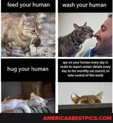 feed your human wash your human