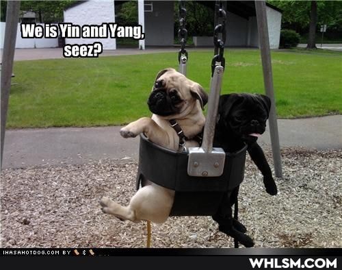 We Is Yin and Yang.
seeze