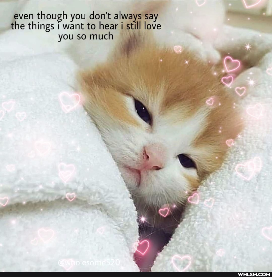 even though you don't always say the things want to hear still love you so much