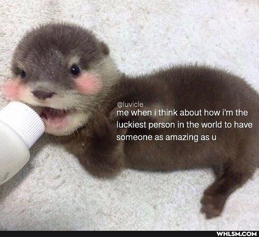 @luvicle me when i think about how i'm the
luckiest person in the world to have someone as amazing as u