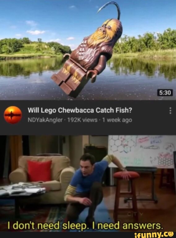 Will Lego Chewbacca Catch Fish?
192K views
1 week ago
I don't need sleep. I need answers.