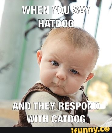 Hatdog memes. Best Collection of funny Hatdog pictures on iFunny