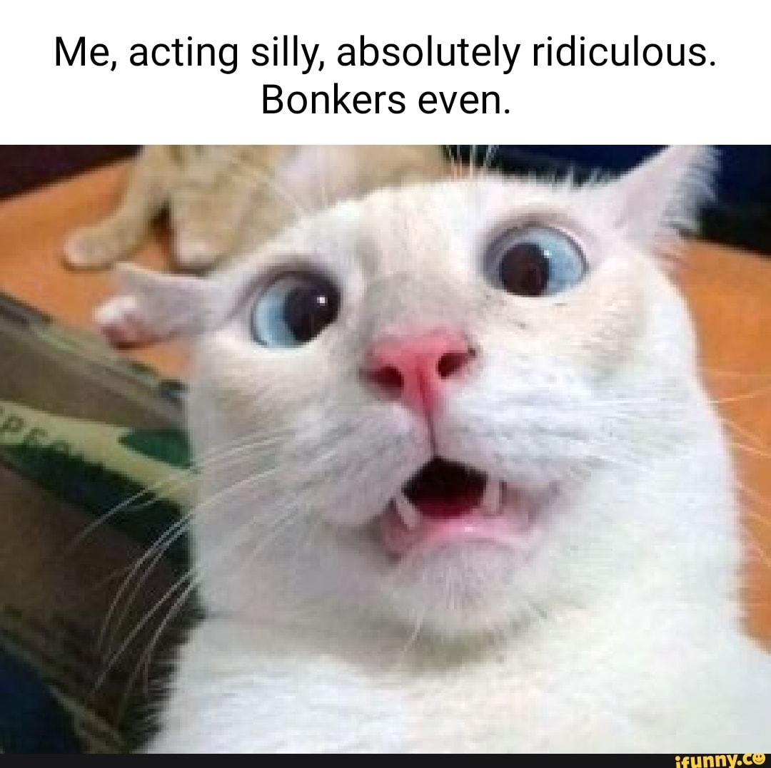 Me, Acting Silly, Absolutely Ridiculous. Bonkers Even. - Ifunny