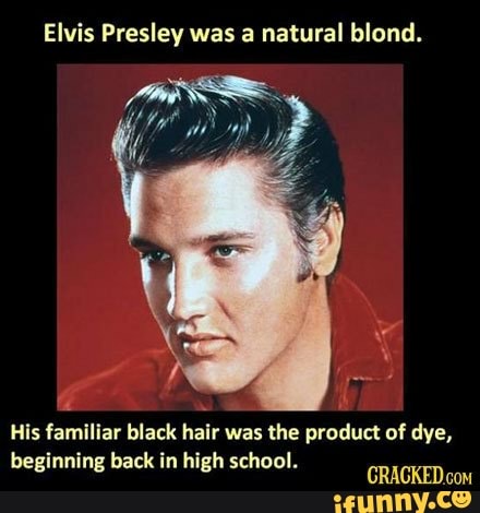 Elvis Presley Was A Natural Blond His Fªmiliar Black Hair Was The