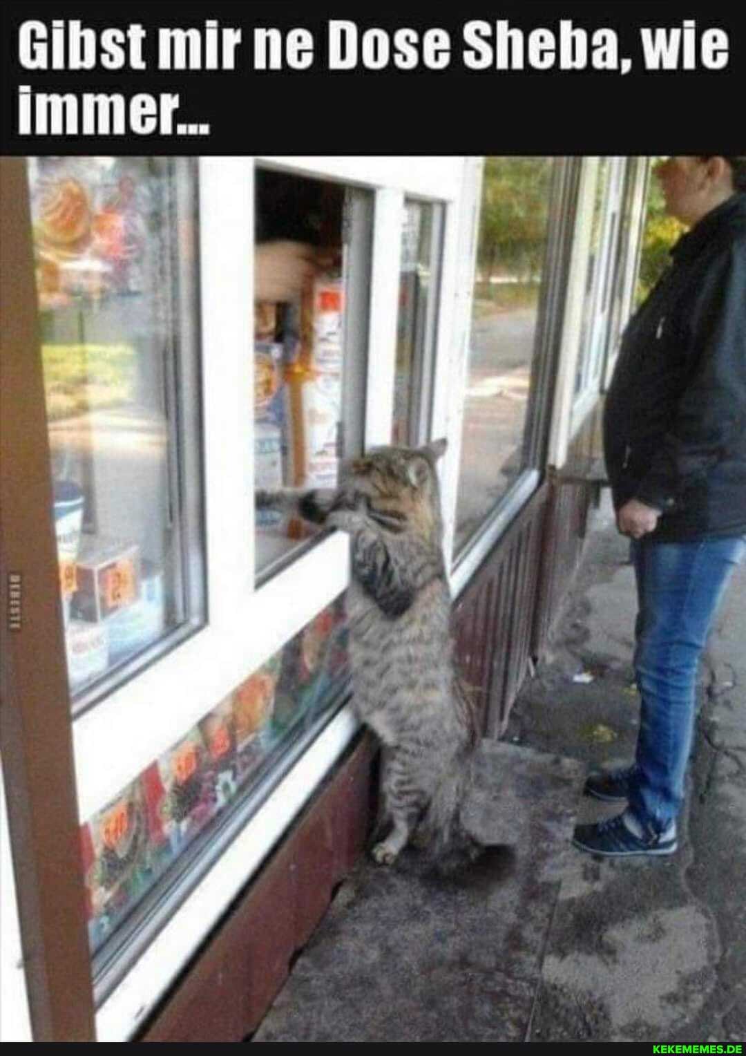 Gibst mir ne Dose Sheha, wie
Immer...