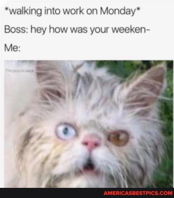 *walking into work on Monday*
Boss: hey how was your weeken-
Me: