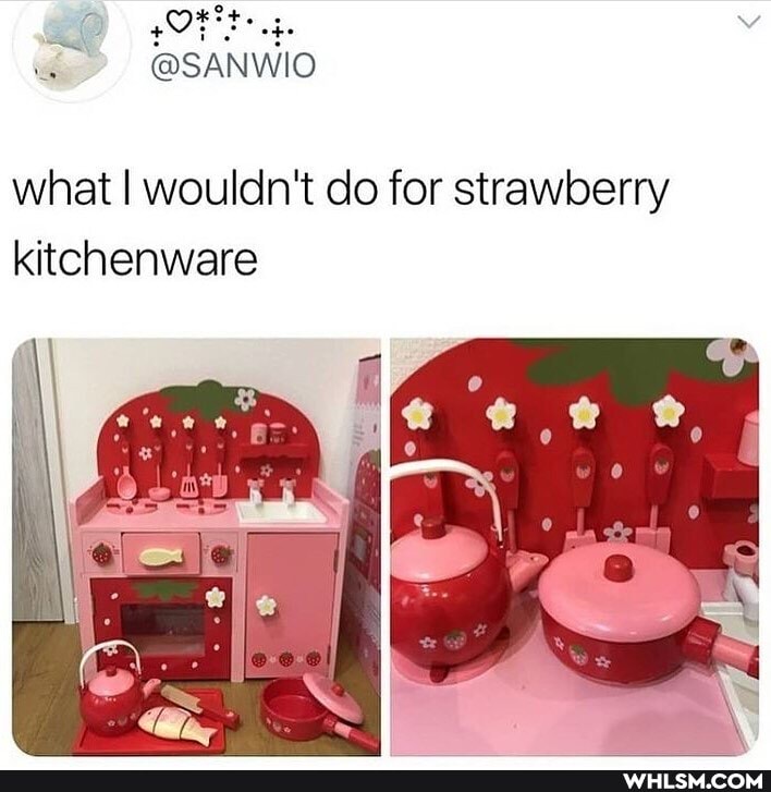 GOOF v
what I wouldn't do for strawberry kitchenware