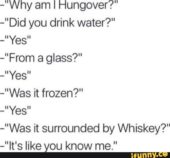  Why am I Hungover "Did you drink water?" "Yes" "From a glass