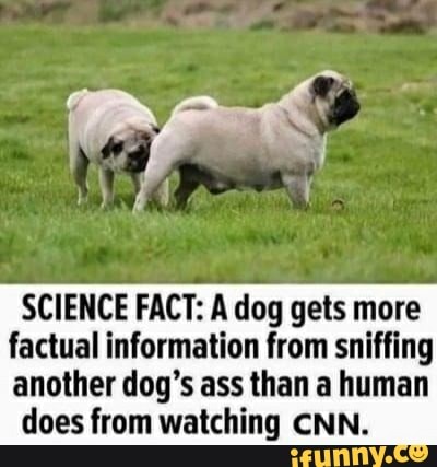 SCIENCE FACT: A dog gets more factual information from sniffing another dog's ass than a human
does from watching CNN.