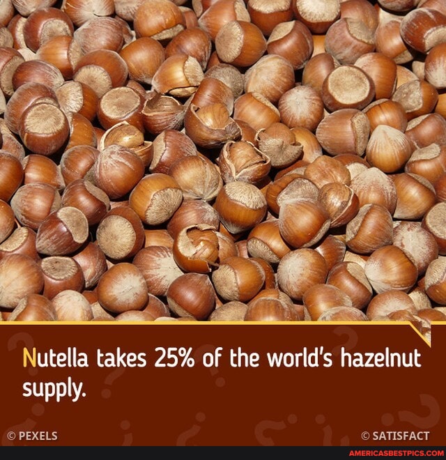 Wait, what? brightside hazelnuts nutellalover nutellafacts 