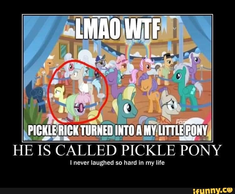 MY/LITTLEBONY,
HE
IS CALLED PICKLE PONY
I never laughed so hard in my life