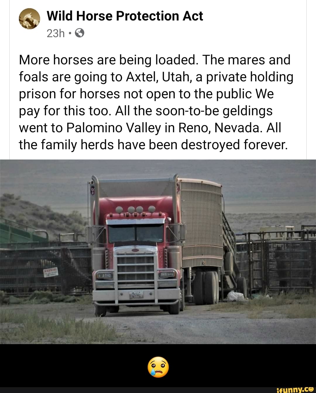 Wild Horse Protection Act More horses are being loaded. The mares and