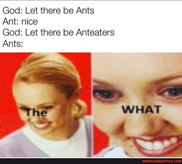 God: Let there be Ants
Ant: nice
God: Let there be Anteaters
Ants:
WHAT